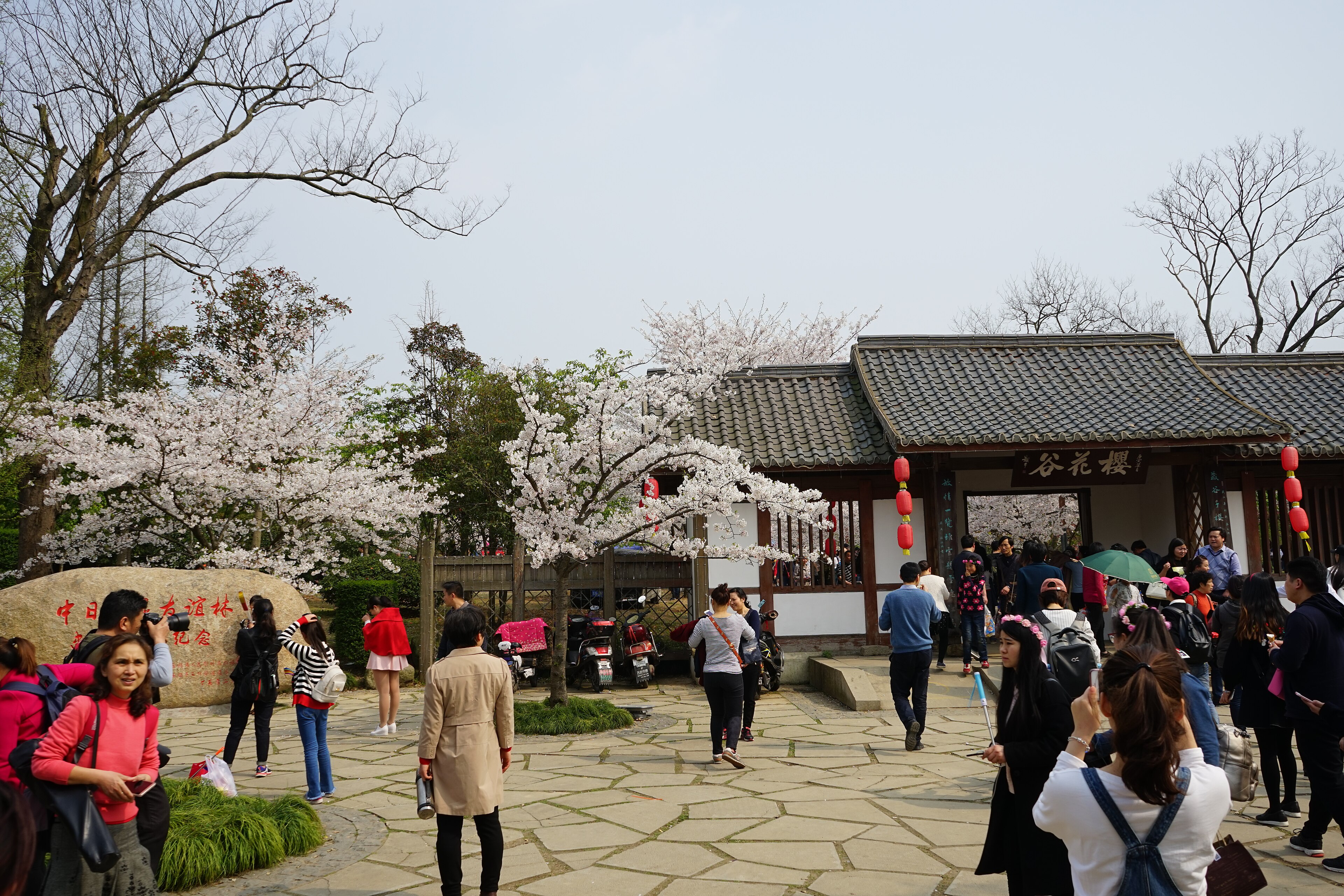 无锡旅行风景